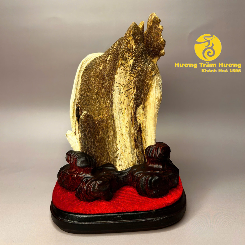 Trầm Cảnh An Mộc – Trầm Bì Khánh Hòa Tự Nhiên Trang Trí Xe Hơi, Bàn Làm Việc