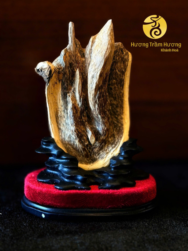 Thanh Sơn Trầm – Trầm Cảnh Tự Nhiên Khánh Hòa