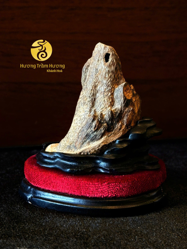 Kim Thiềm Sơn – Trầm Cảnh Tự Nhiên Khánh Hòa