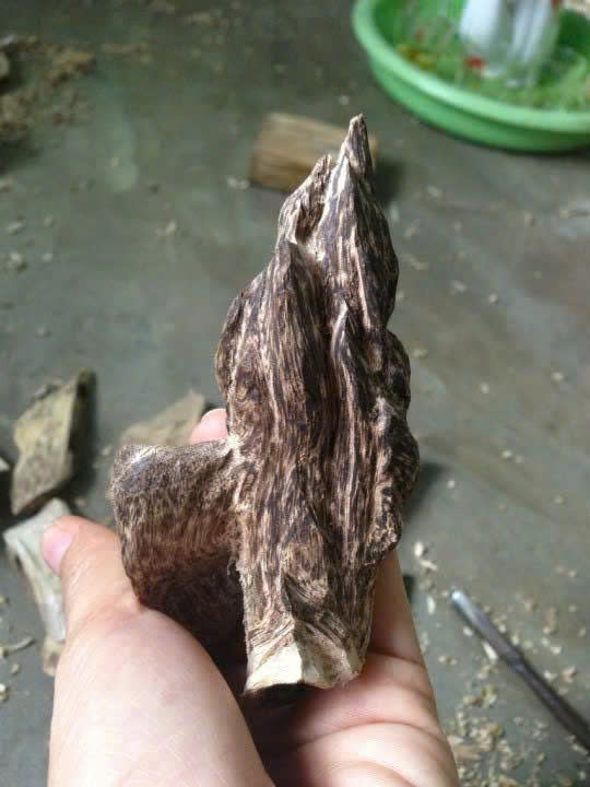 lua chon nguyen lieu2