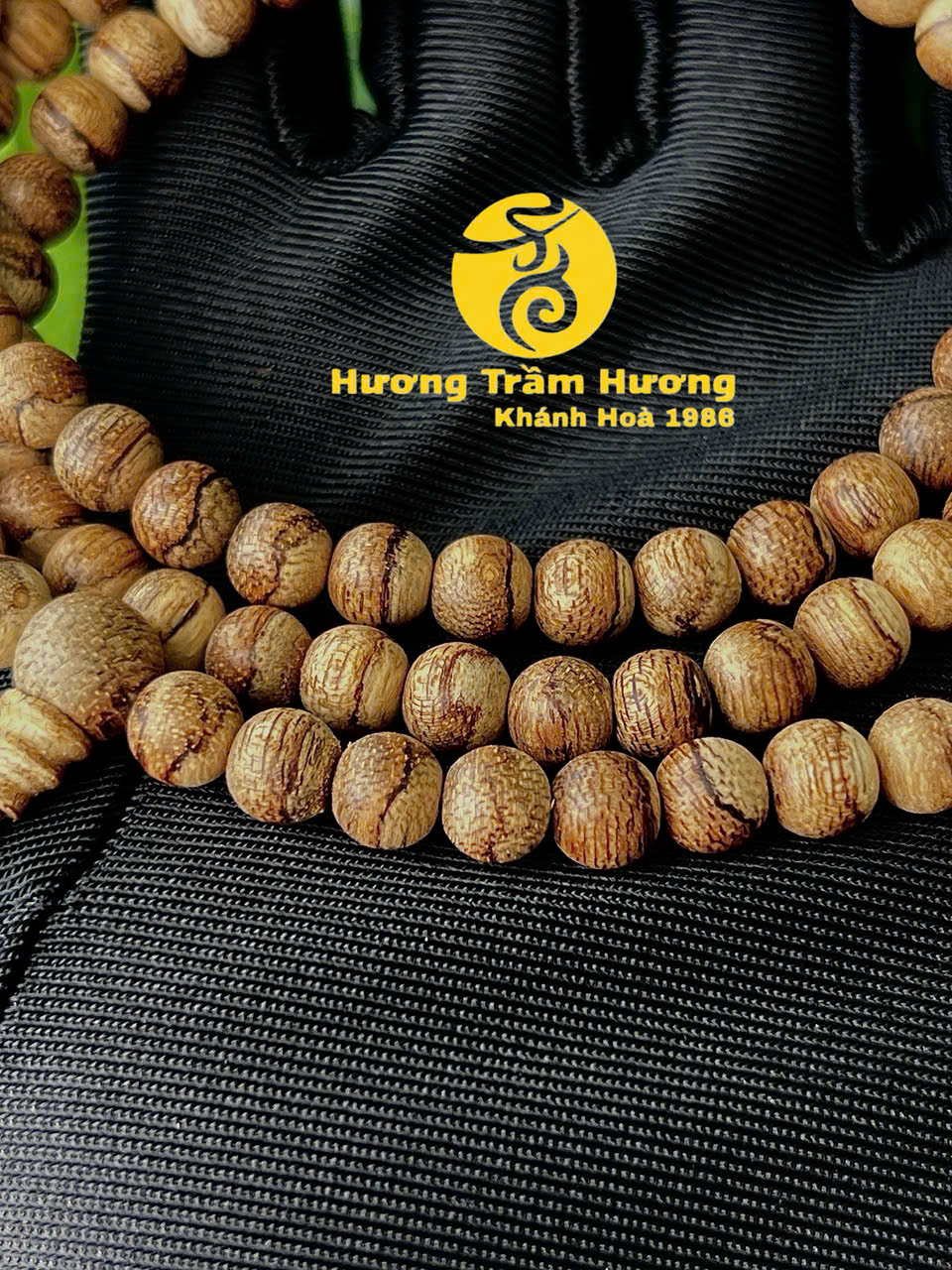 Bông Vạn Lí Thiên 6ly