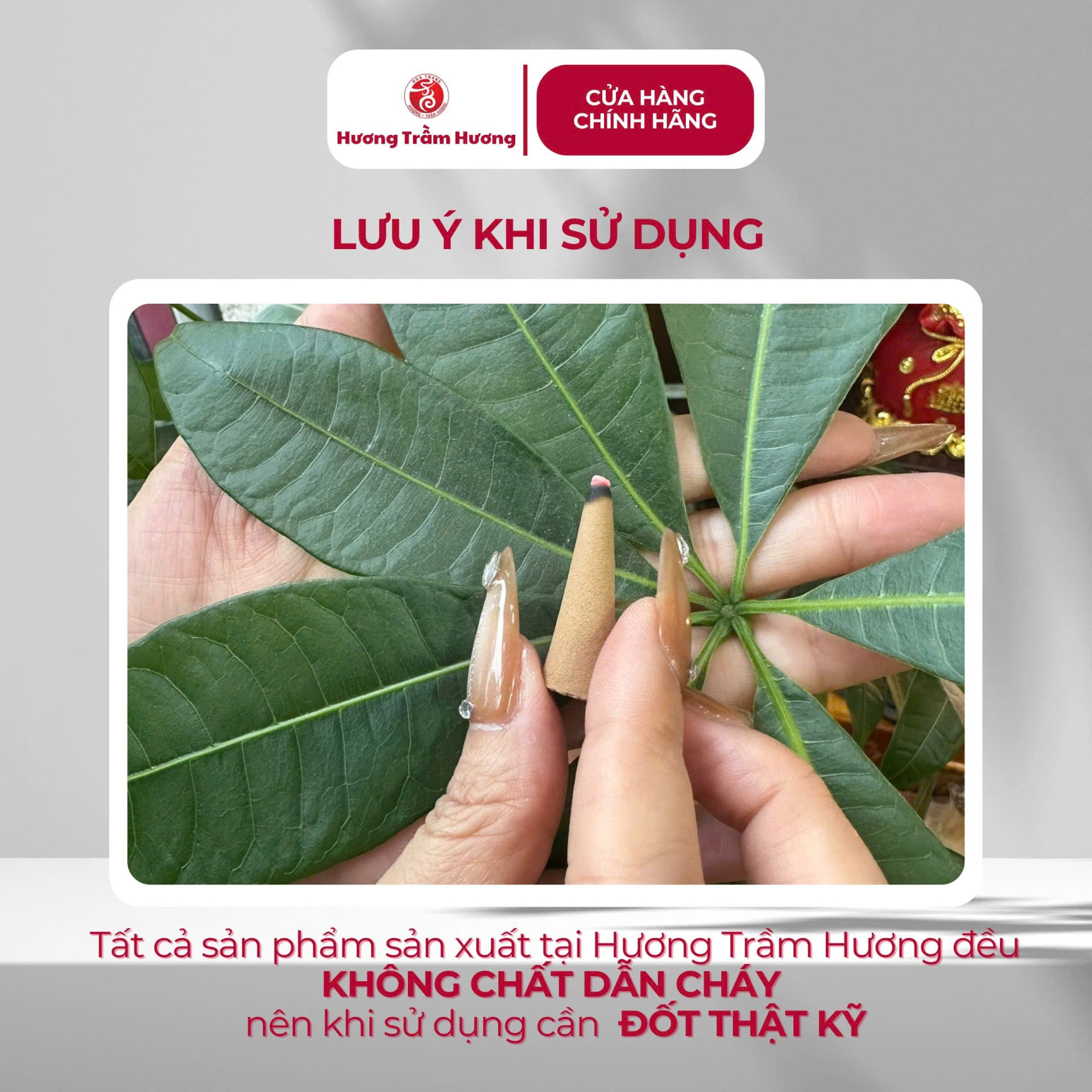 Trầm Nụ Đặc Biệt