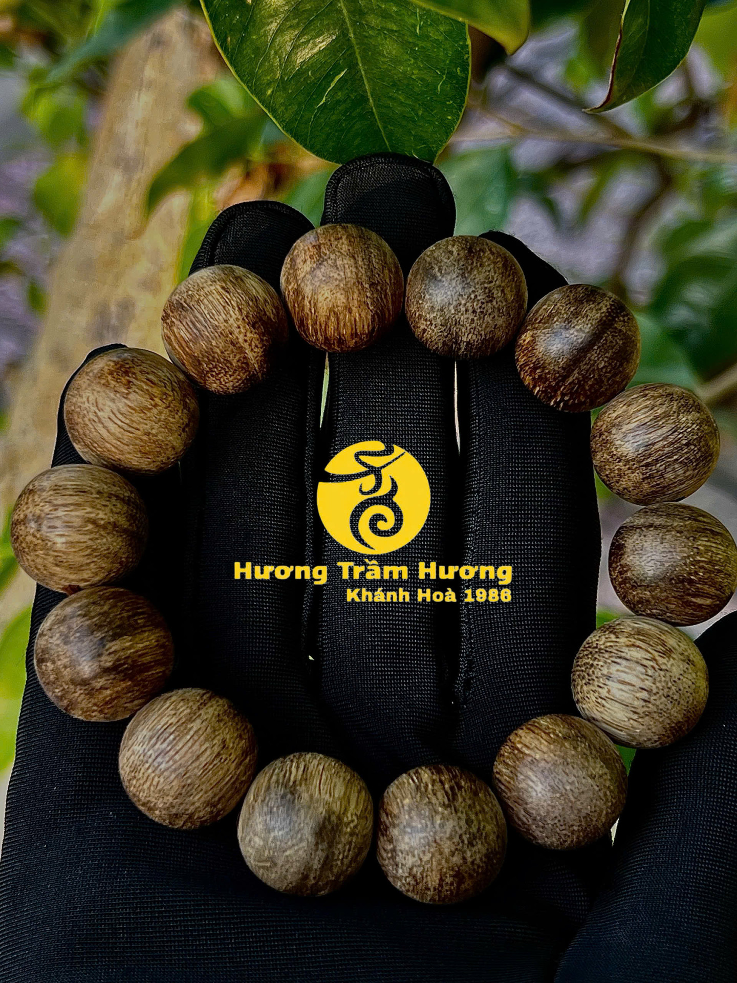 Vòng Trầm Nam 16mm Mộc Vương Tài