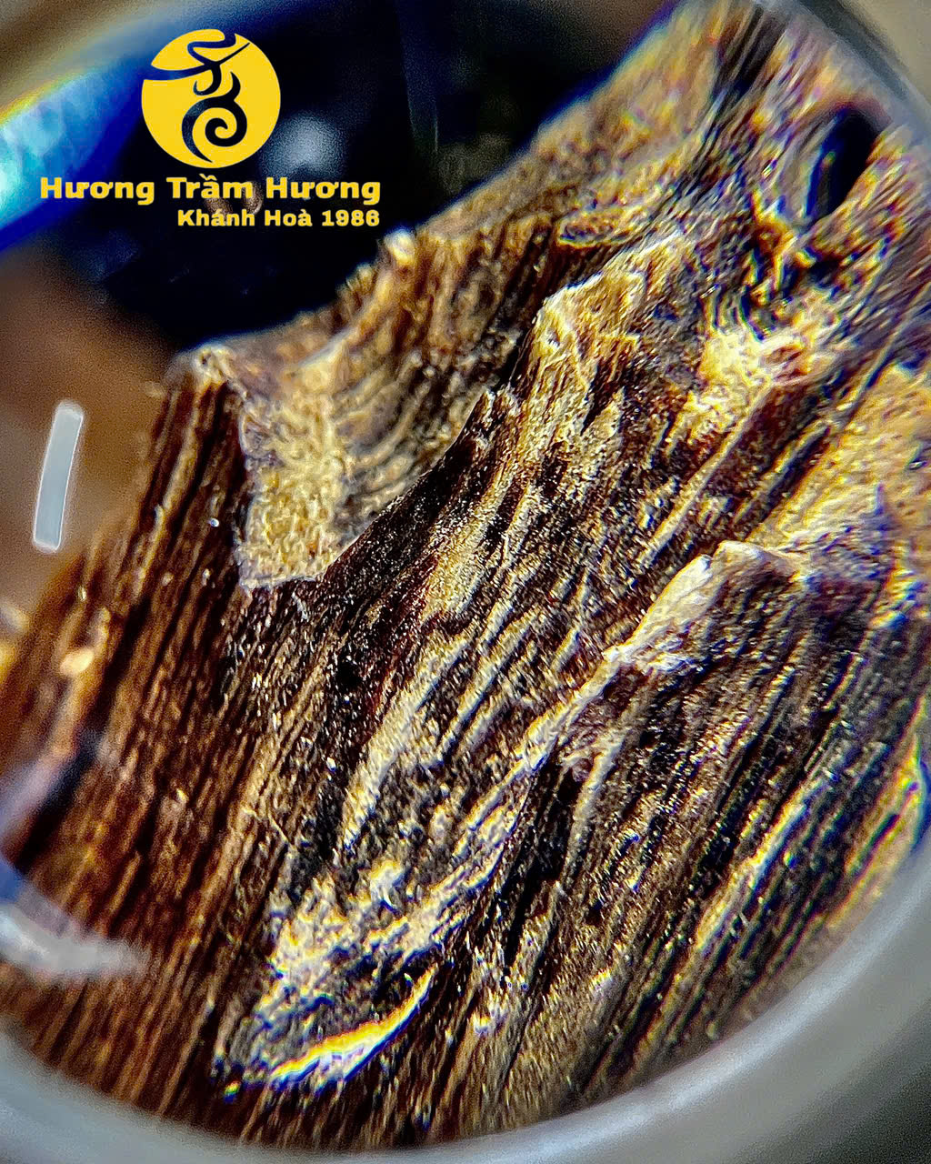 Bạch Kỳ Khánh Hòa 8,43g