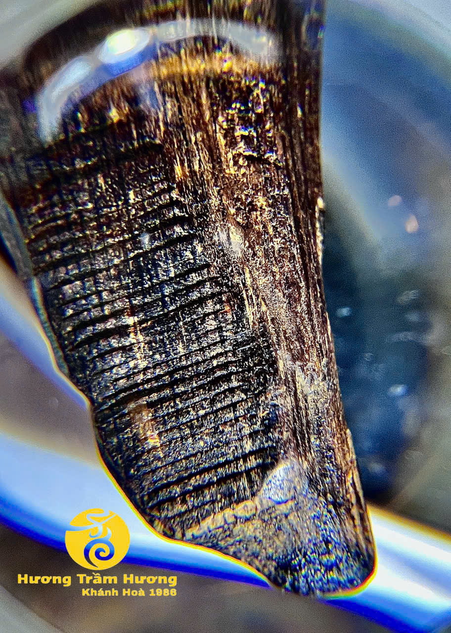 Thanh Kỳ khắc Mẹ Quan Âm