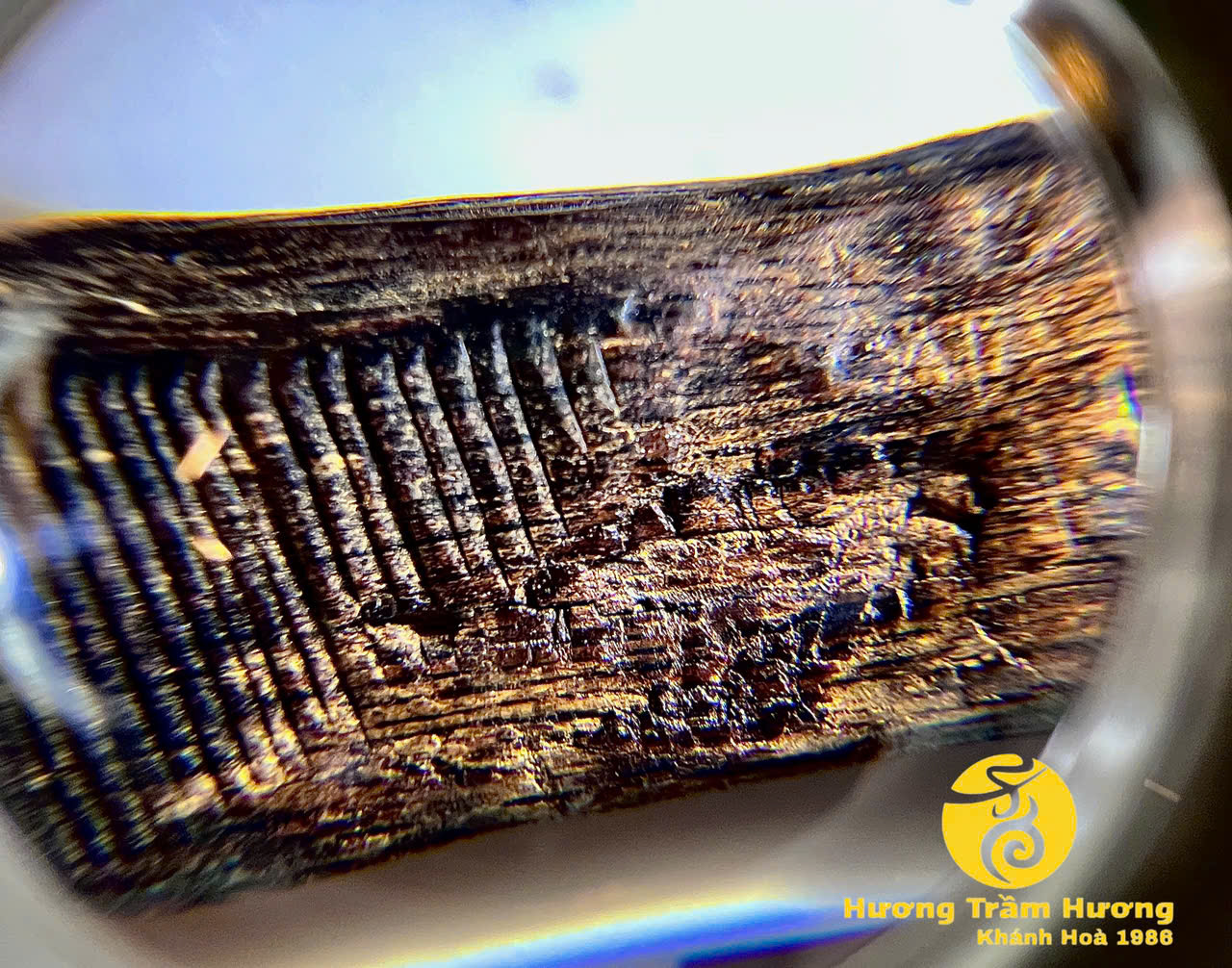 Thanh Kỳ khắc Mẹ Quan Âm