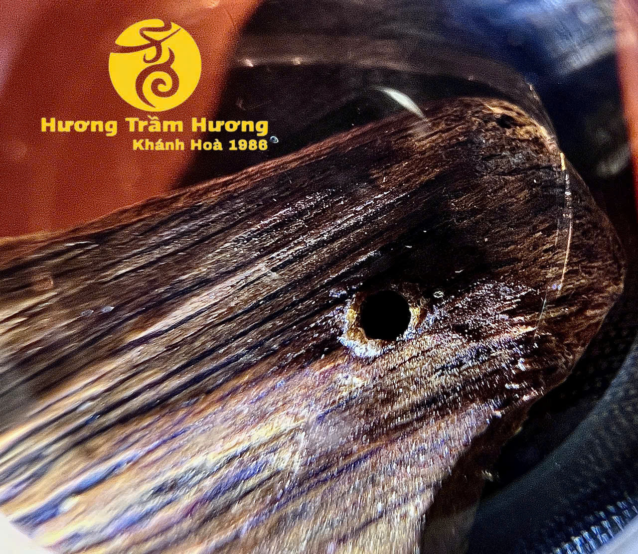 Bạch Kỳ Khánh Hòa 8,43g