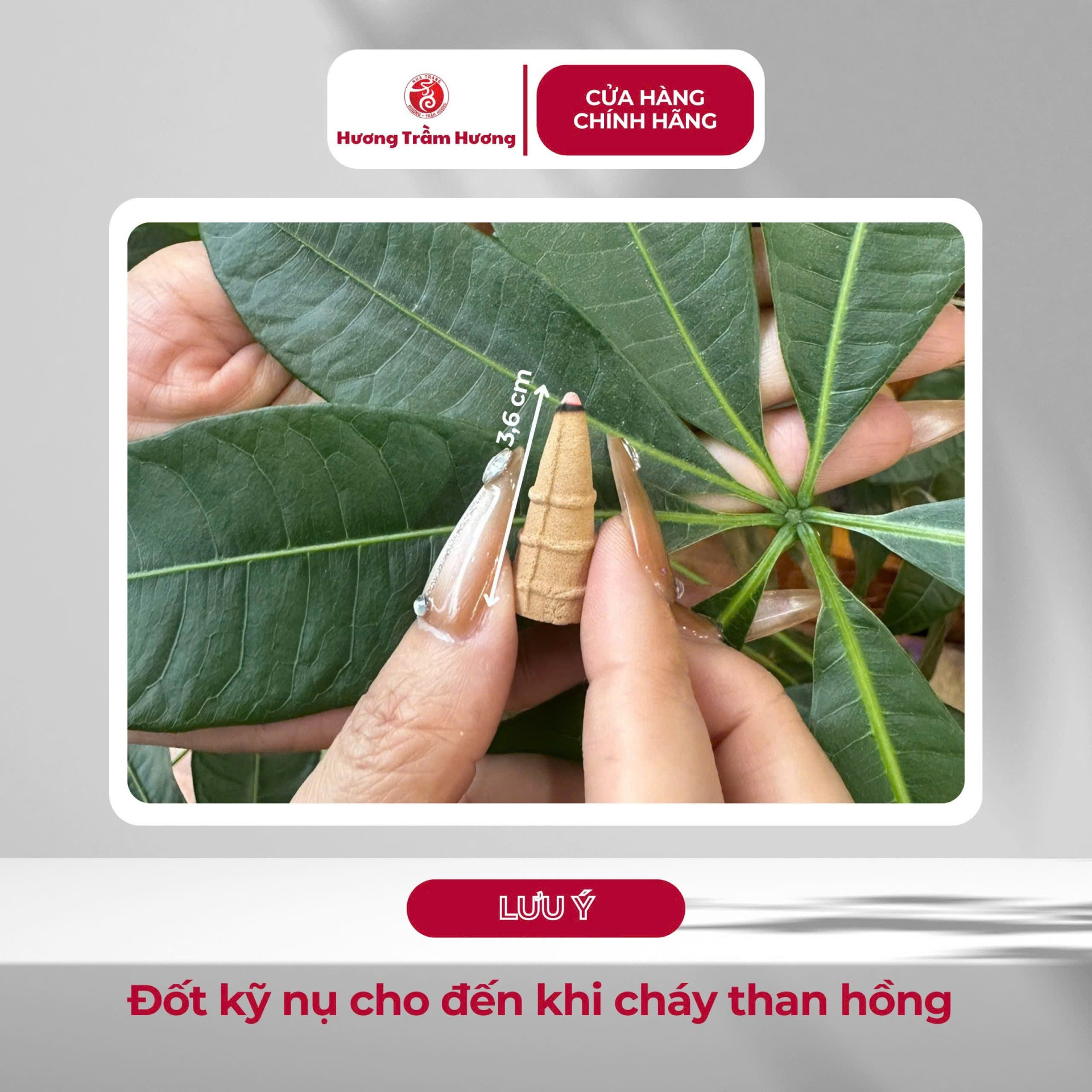 Trầm Nụ Cao Cấp - Tinh Hoa Xứ Khánh