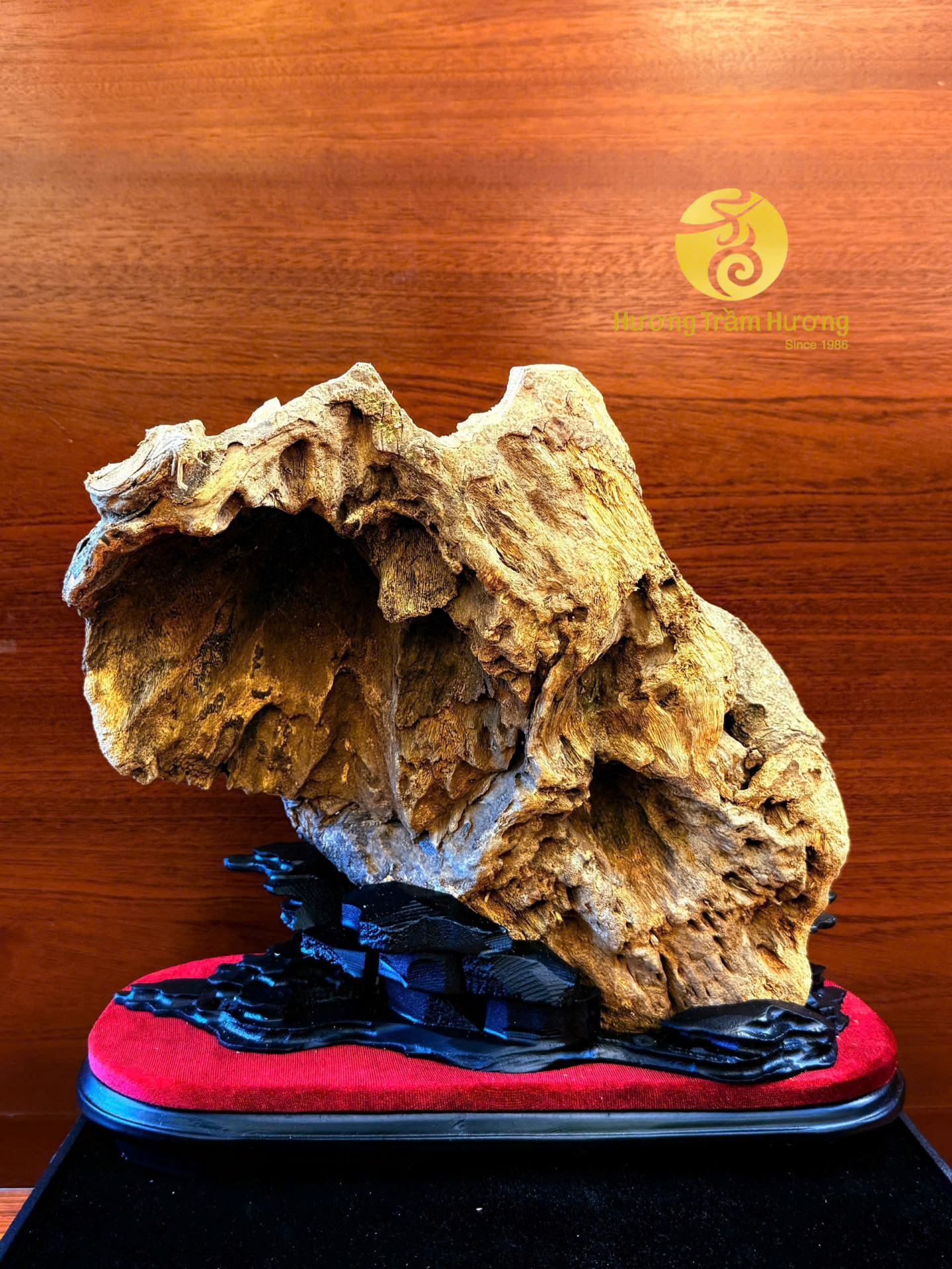 Sơn Hải Tinh Hoa