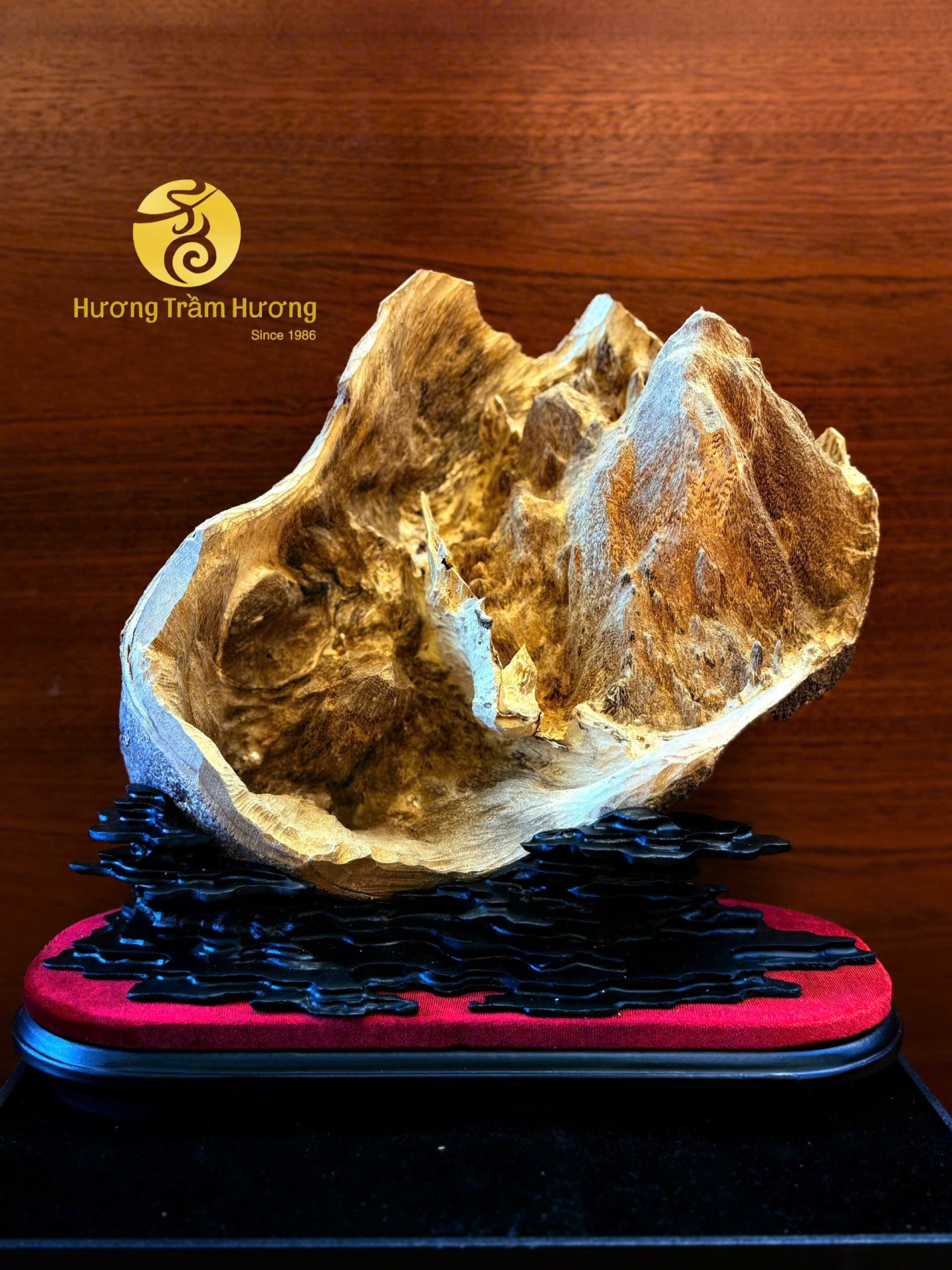 Sơn Hải Tinh Hoa