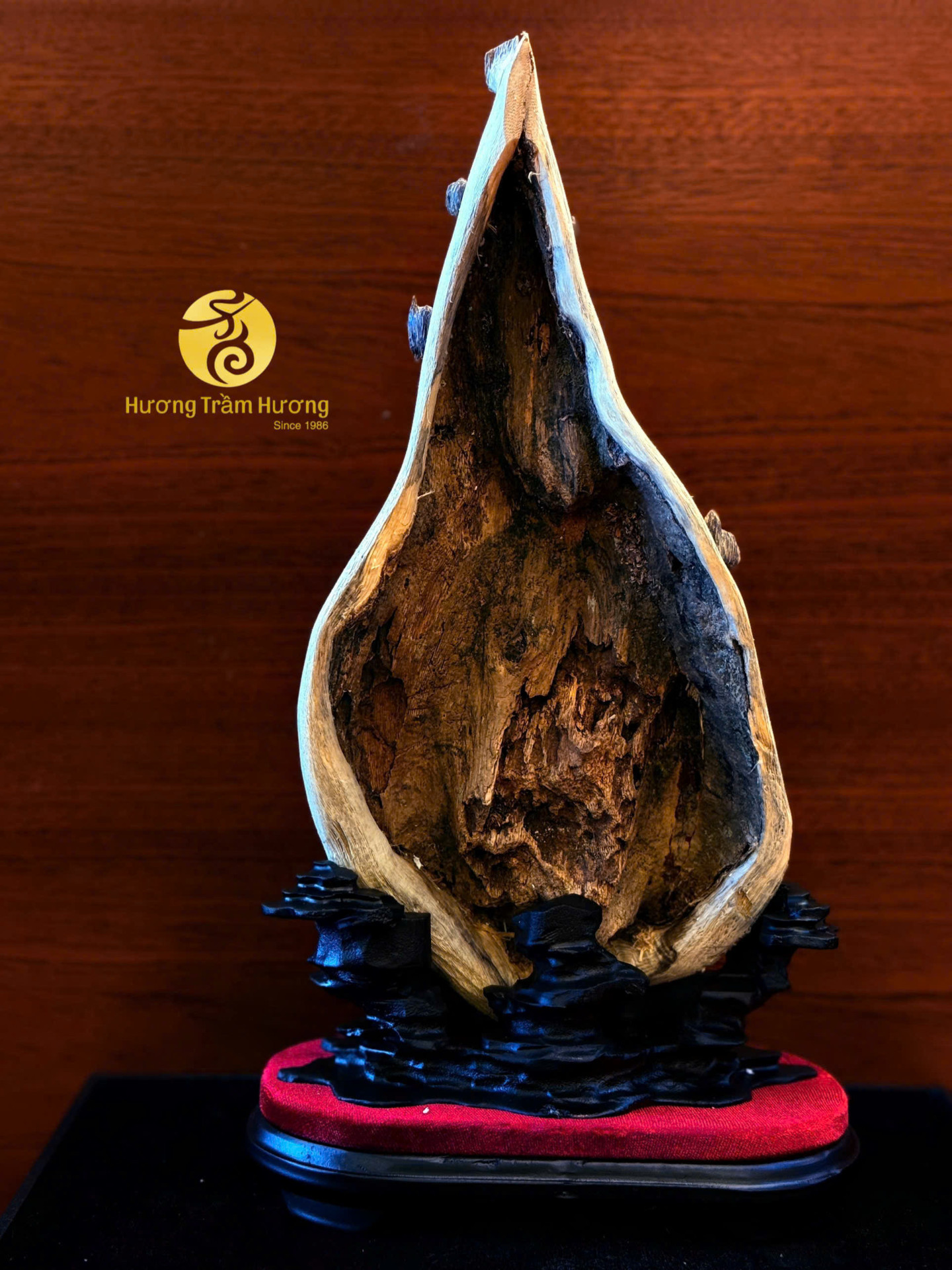 Sơn Hải Tinh Hoa
