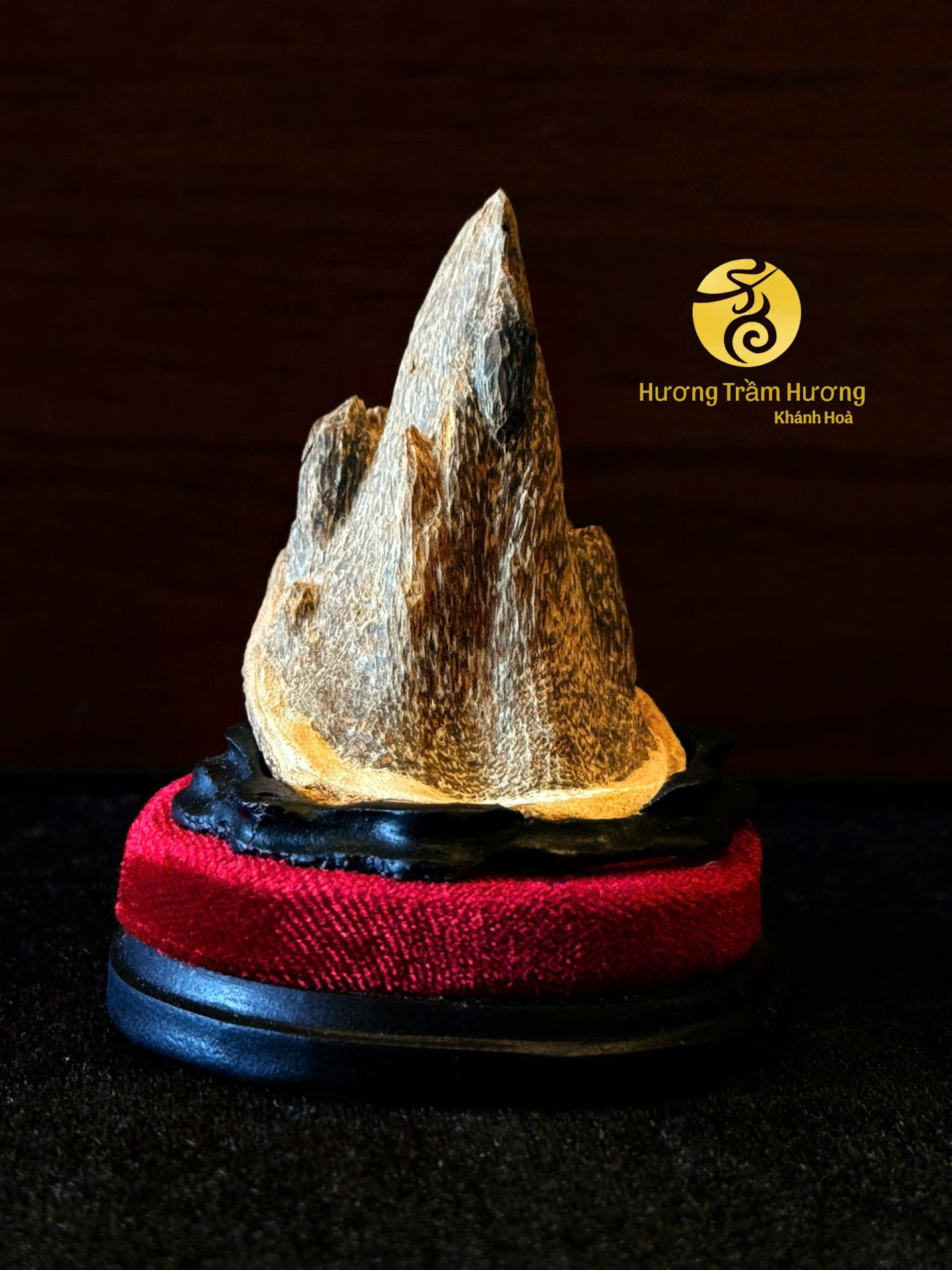 Thanh Sơn Trầm – Trầm Cảnh Tự Nhiên Khánh Hòa