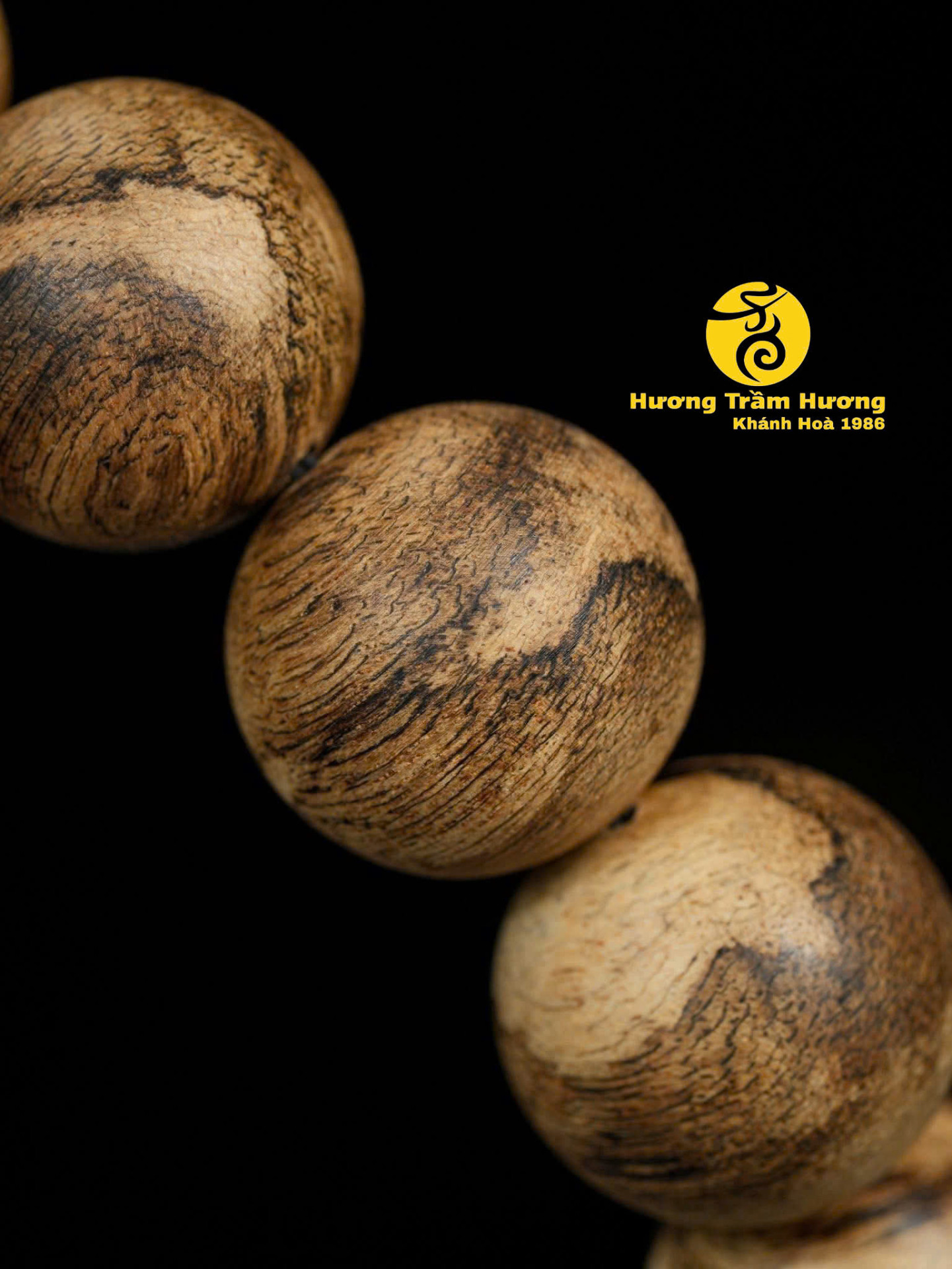 NGỌC PHỤNG KIM TIỀN – BẢN LĨNH TRONG MỘT PHONG THÁI