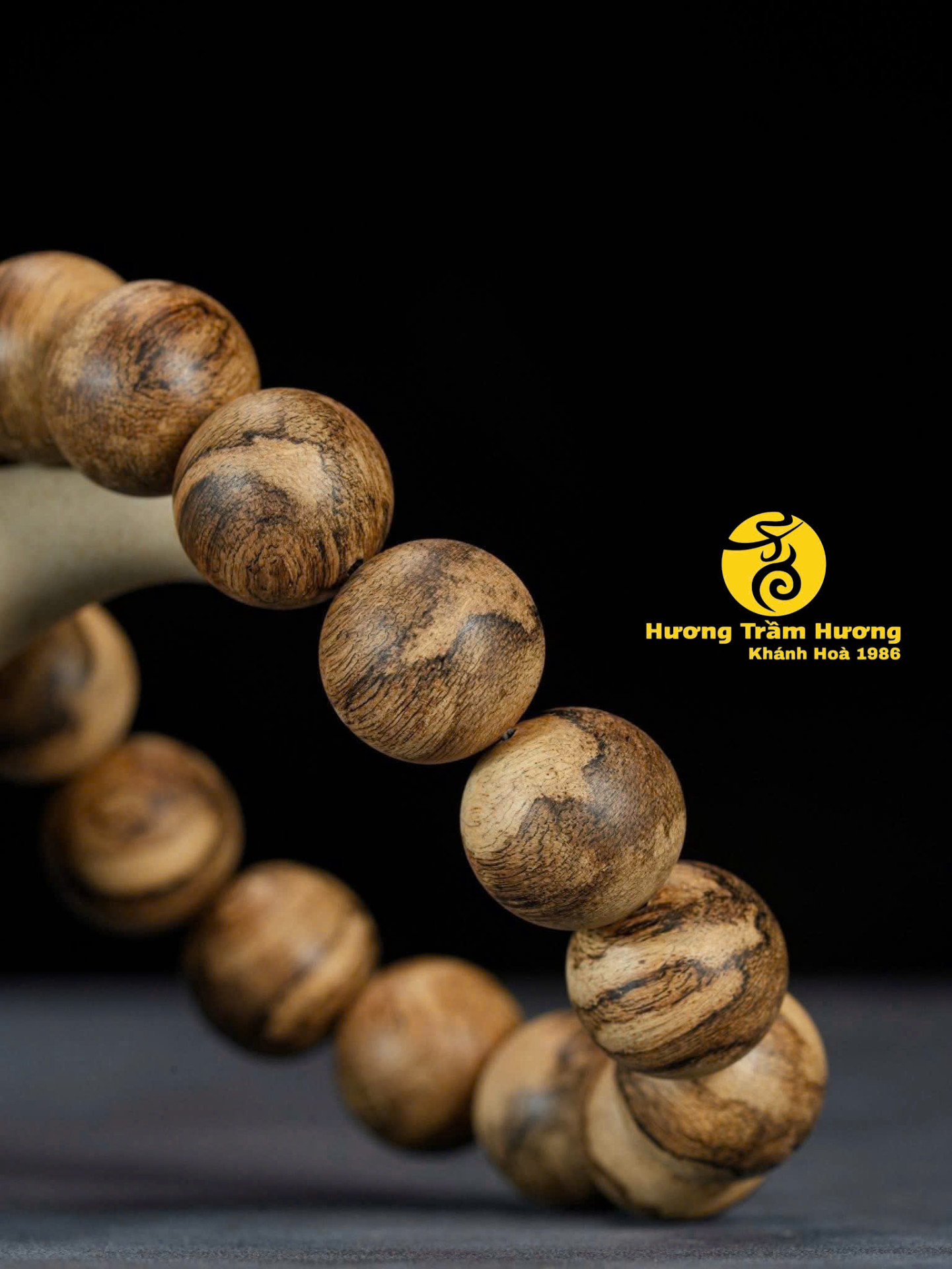 NGỌC PHỤNG KIM TIỀN – BẢN LĨNH TRONG MỘT PHONG THÁI