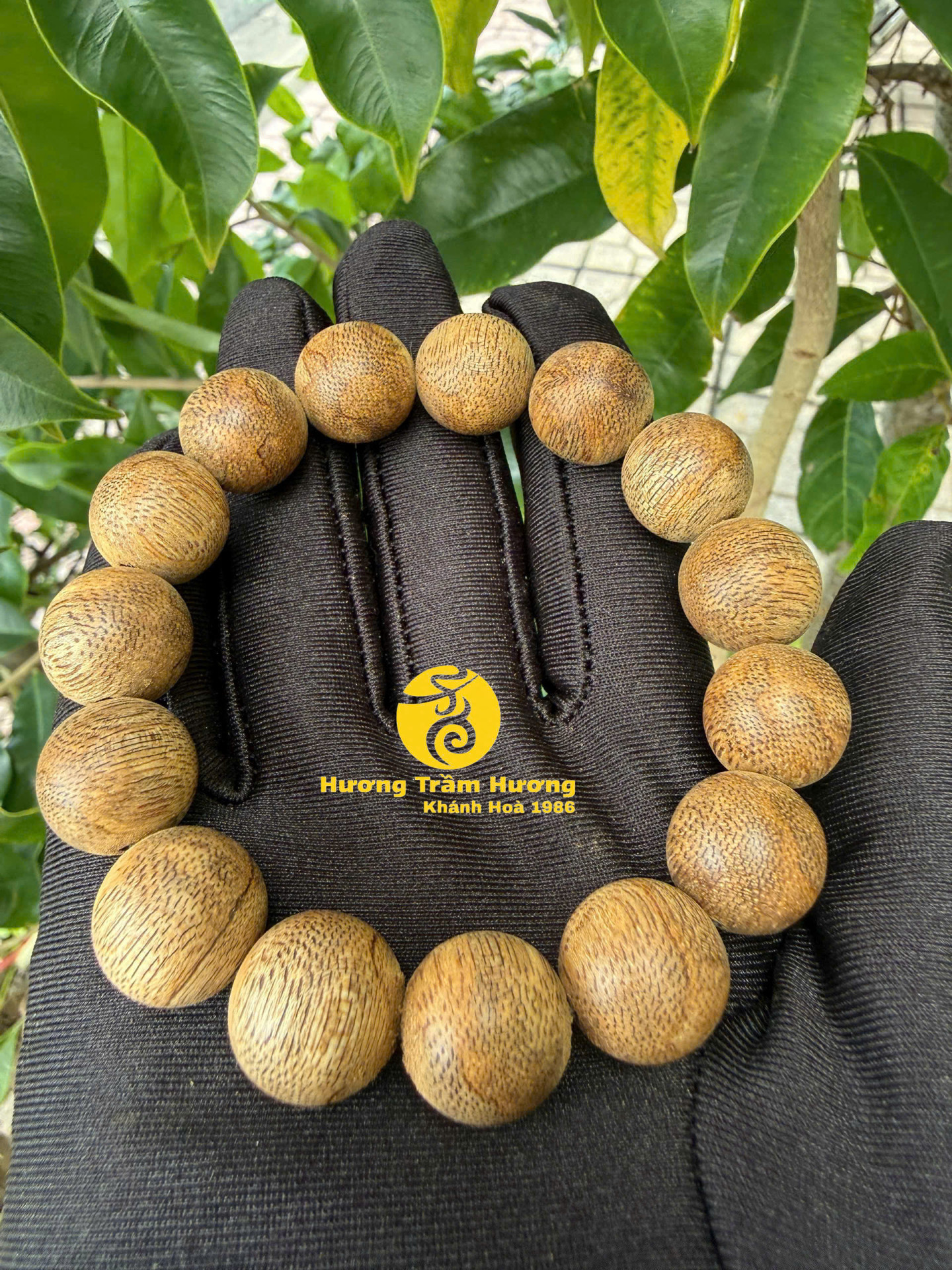 THÁI CỬU BẢO 16LY – VÒNG TRẦM KHÁNH HÒA MÙI ĐẬM, BẢN LỚN CHO NAM